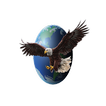 Earth Eagle 3.0