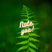 NoteYou icon