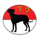 DogDex - Automatic dog breed recognition APK