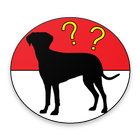 DogDex icône