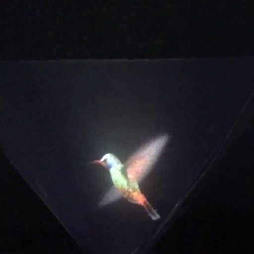 Vyomy 3D Hologram Hummingbird