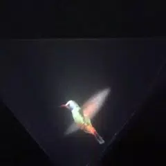 Vyomy 3D Hologram Hummingbird アプリダウンロード