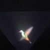 Vyomy 3D Hologram Hummingbird 아이콘