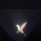 Vyomy 3D Hologram Hummingbird biểu tượng