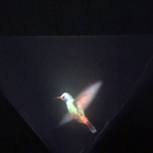 Vyomy 3D Hologram Hummingbird-icoon