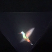 Vyomy 3D Hologram Hummingbird icon
