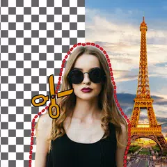 Photo Background Changer XAPK download