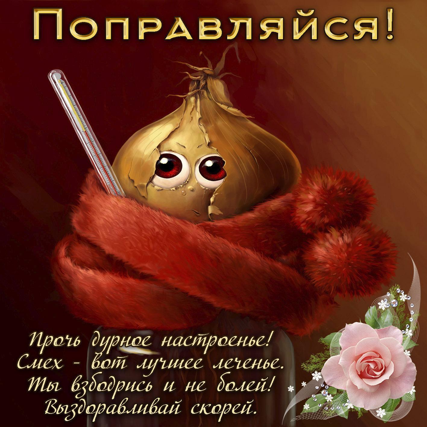 больше не болейте картинки