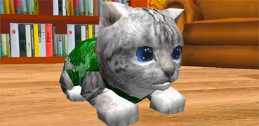 Cute Pocket Cat 3D