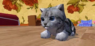 Cute Pocket Cat 3D