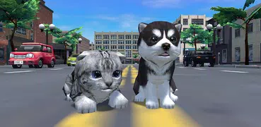 Cute Pocket Cat And Puppy 3D