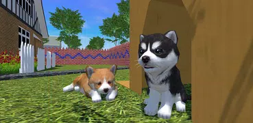 Cute Pocket Puppy 3D - Part 2