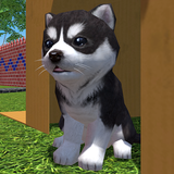 Cute Pocket Puppy 3D - Part 2 biểu tượng