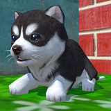 Cute Pocket Puppy 3D icône