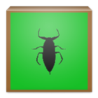 Insect Sound FX Lite أيقونة