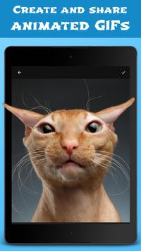 Jellify 截图 3