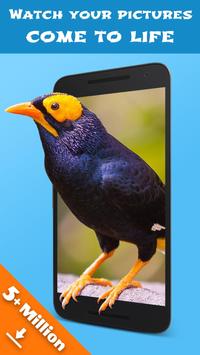 Jellify 截图 6