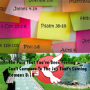 Chapter And Bible Verses APK