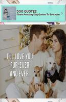 Dog Quotes penulis hantaran