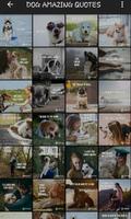 Dog Quotes syot layar 1
