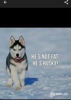 Dog Quotes syot layar 2