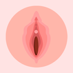 Anatomía de la Vagina