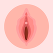 Vagina Anatomy Full