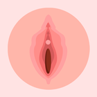 Anatomía de la Vagina ไอคอน