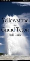 iXplore Yellowstone الملصق