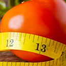Calorie calculator APK