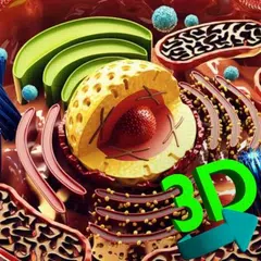 3D Cell + APK Herunterladen