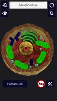 3D Cell + 海報