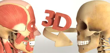 3D Anatomy+ (Full Version)