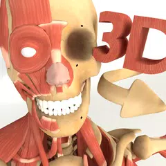 3D Anatomy+ (Full Version) アプリダウンロード