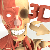 3D Anatomy+ アイコン