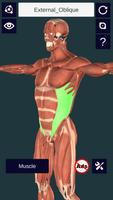 3D Anatomy+ โปสเตอร์