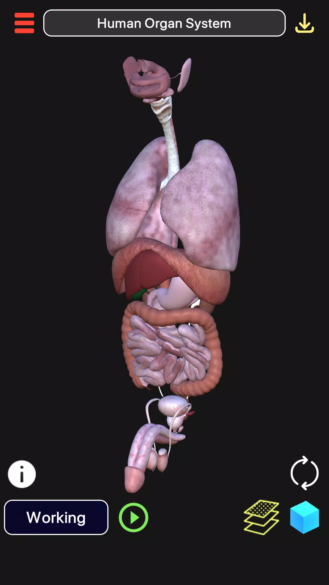 Скачать 3D Biology + APK для Android Скачать 3D Biology + APK для Android