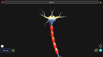 3D Biology + ảnh chụp màn hình 3