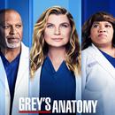 Grey's Anatomy Quiz APK