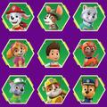 Pup Patrol Quiz