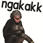 Stiker Monyet Monkey Lucu WA icône