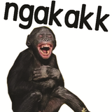 Stiker Monyet Monkey Lucu WA