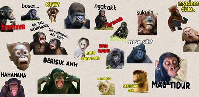 Stiker Monyet Monkey Lucu WA Affiche