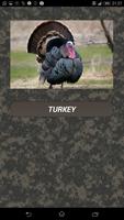 Turkey hunting calls plakat