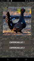 Turkey hunting calls captura de pantalla 2