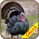 Turkey hunting calls Pro: Hunting sounds. APK