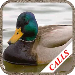 Duck hunting calls APK 下載
