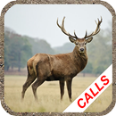 Deer hunting calls APK
