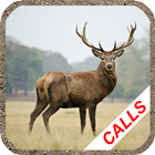 Deer hunting calls আইকন