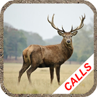 Icona Deer hunting calls